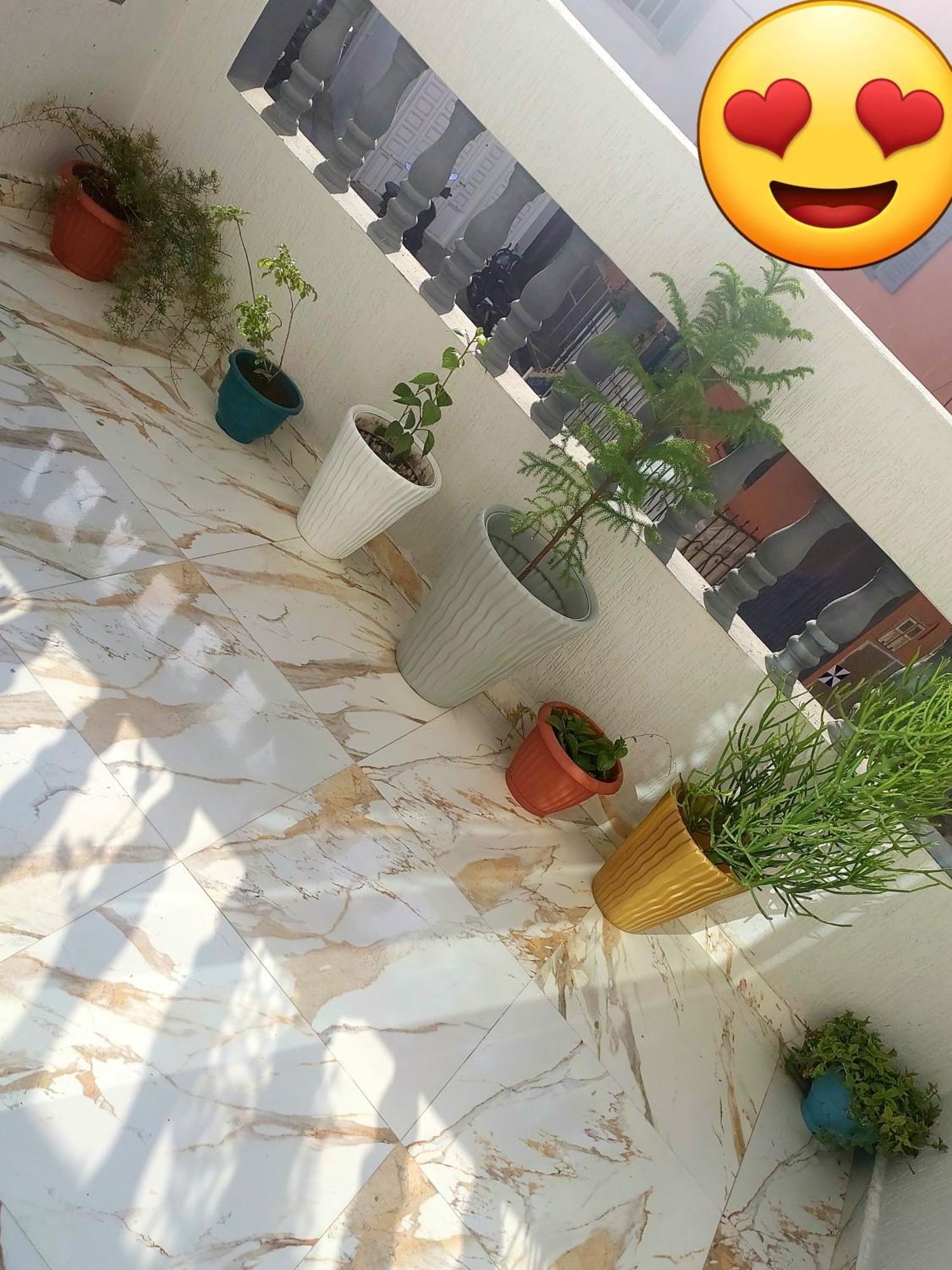 Mogador Appartements T6 Essaouira Eksteriør billede